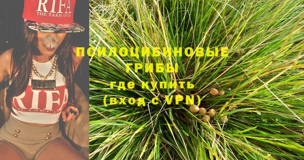 твердый Няндома