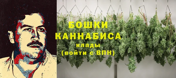 твердый Няндома