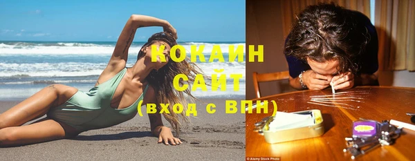 твердый Няндома